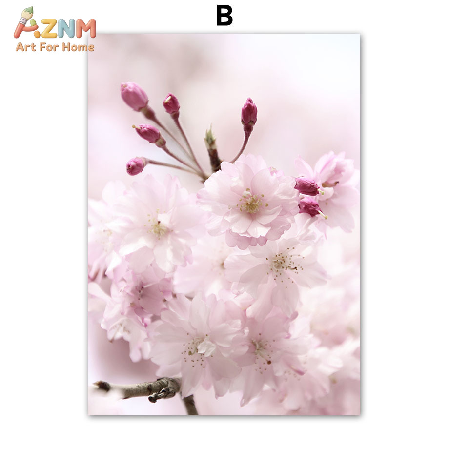 AZNM Pink Cherry Blossom Canva - Photography Quotes recension och pris