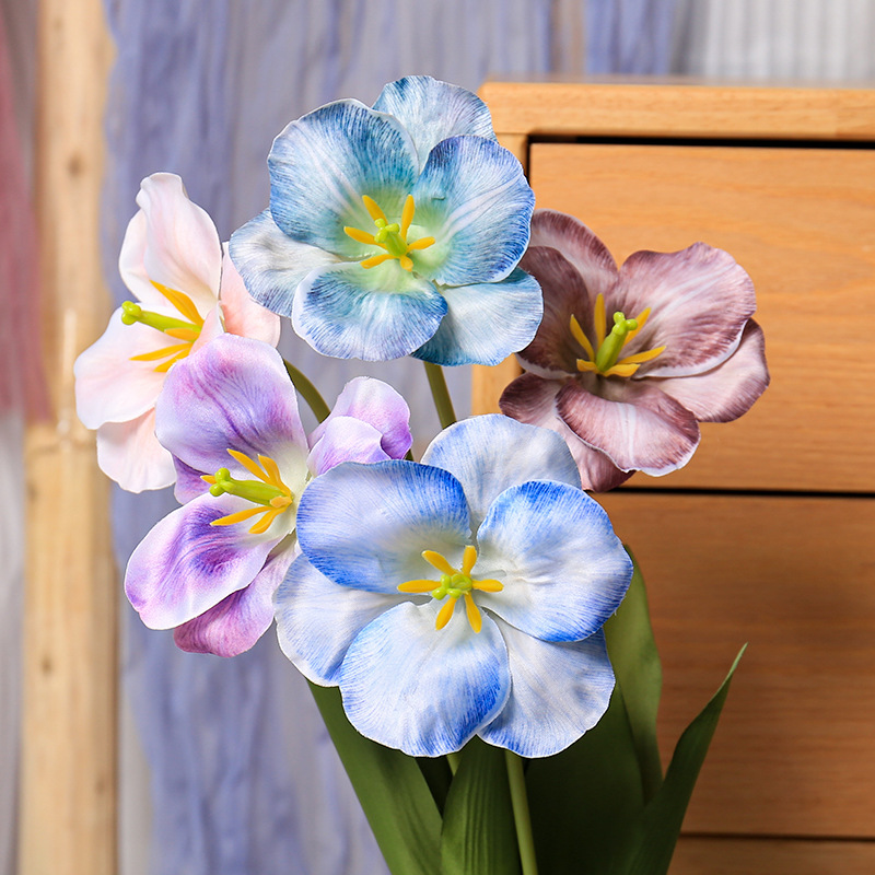 5pc 54cm Flip Tulip Gradient M - Photography Wedding recension och pris