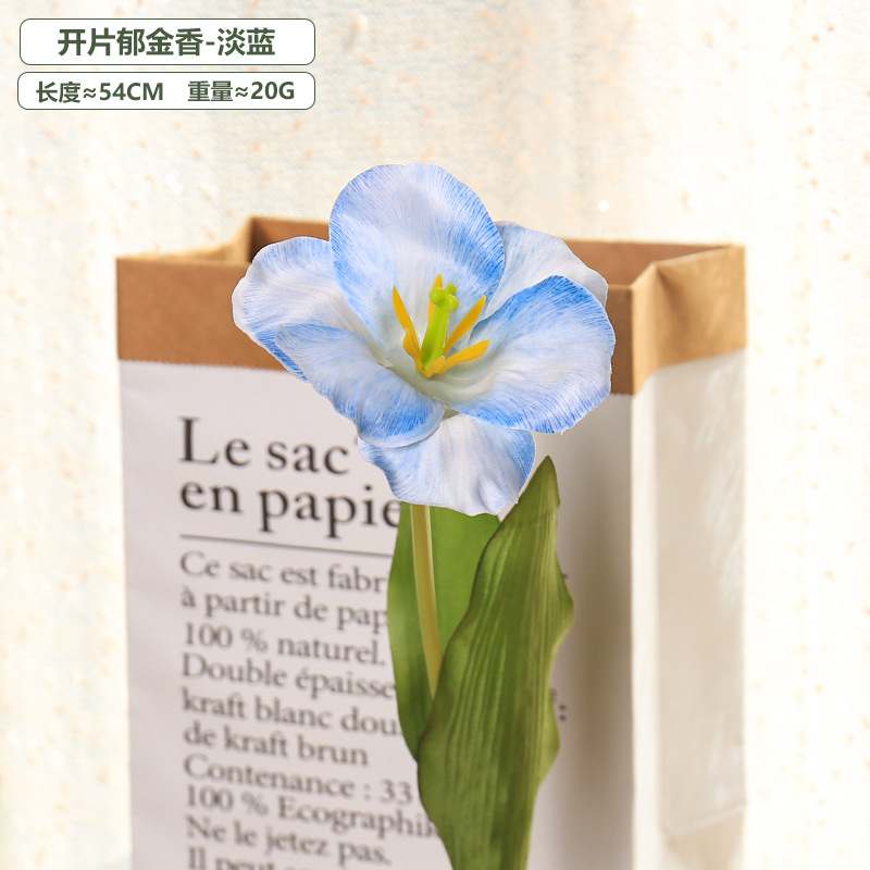 5pc 54cm Flip Tulip Gradient M - Photography Wedding recension och pris