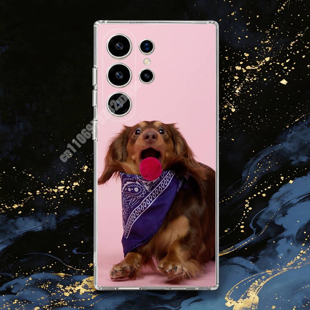 Dachshund Dog Photography Phon - Photography Quotes recension och pris